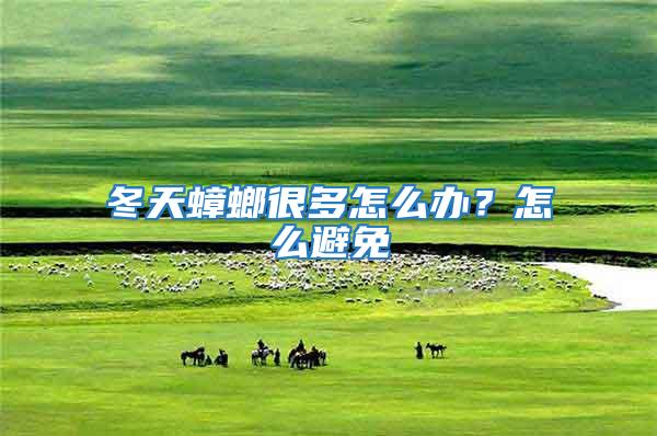冬天蟑螂很多怎么辦？怎么避免